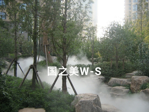 wssy_1488638100089.jpg