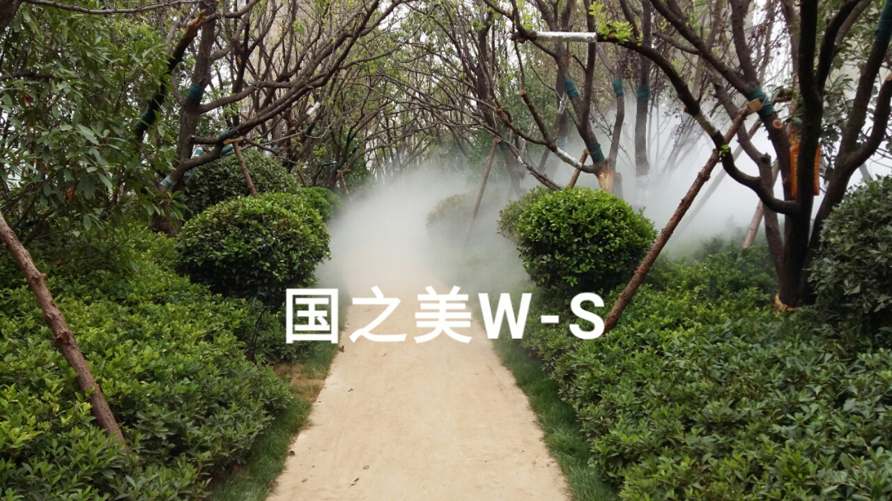 wssy_1488638105979.jpg